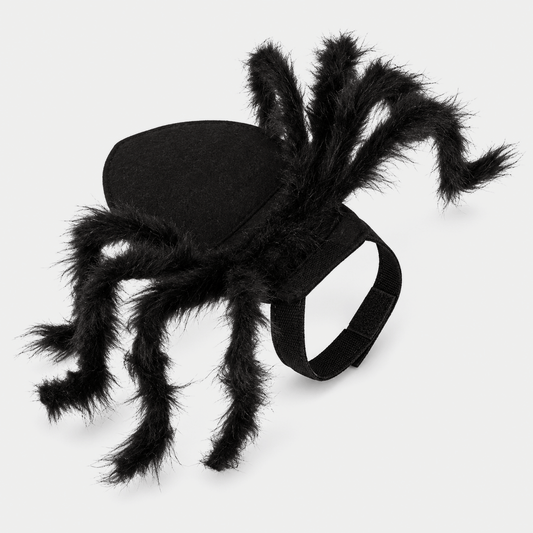 The Viral Halloween Cat Spider Costume