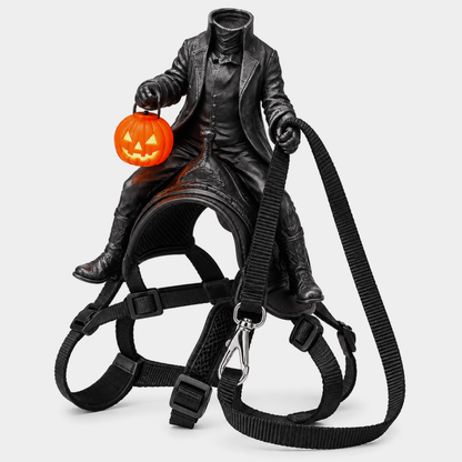 Halloween Headless Horseman Cat Costume