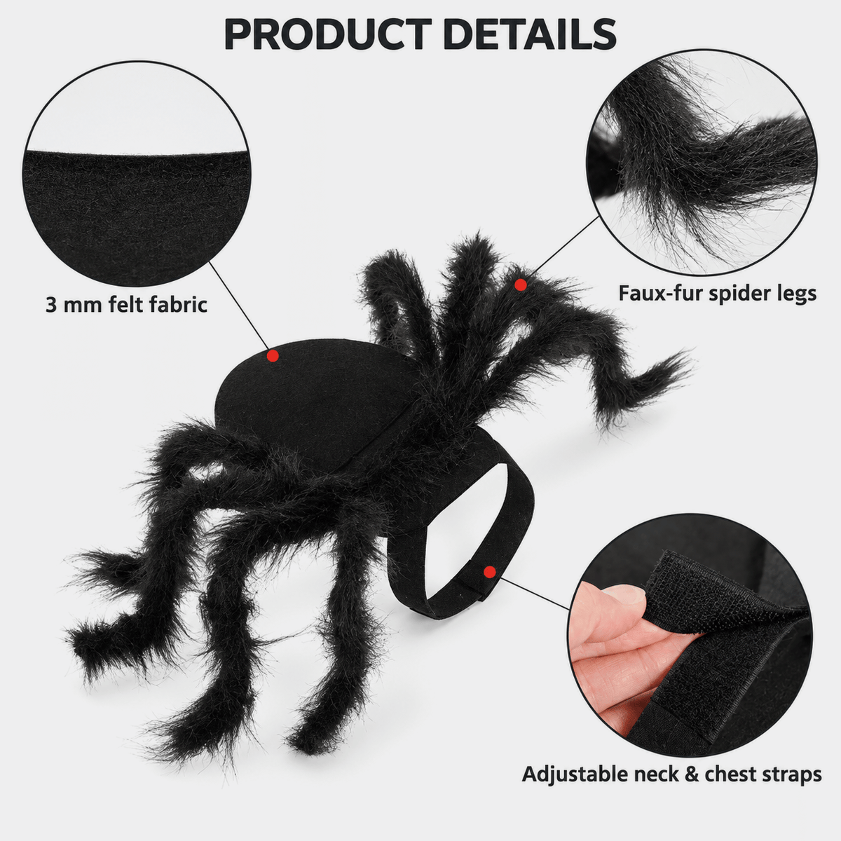 The Viral Halloween Cat Spider Costume
