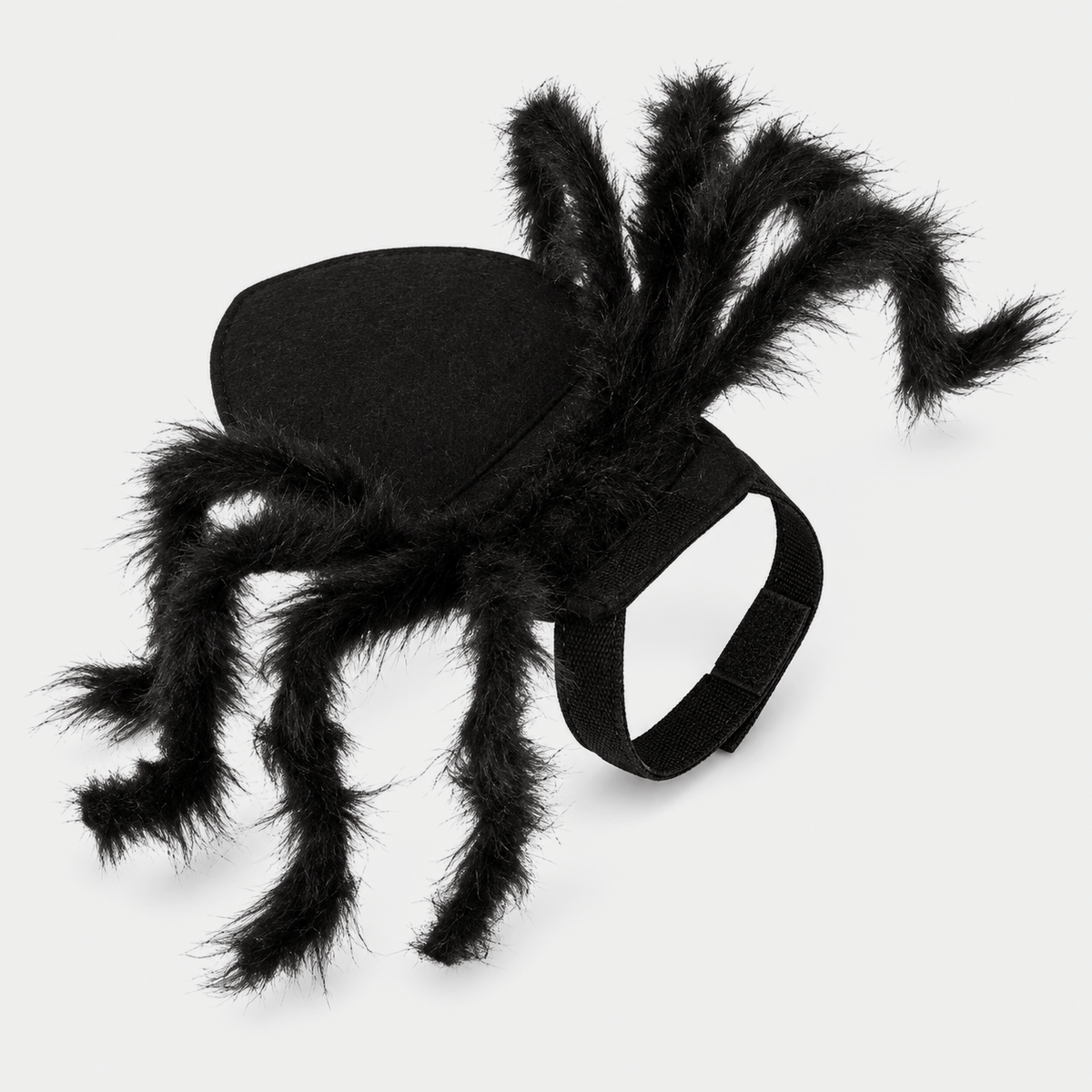 The Viral Halloween Cat Spider Costume