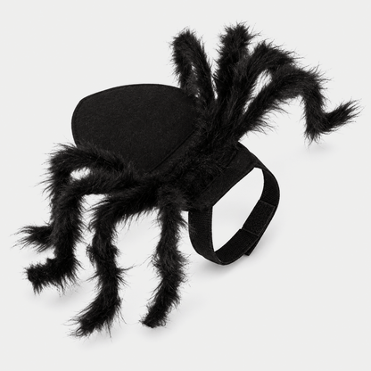 The Viral Halloween Cat Spider Costume