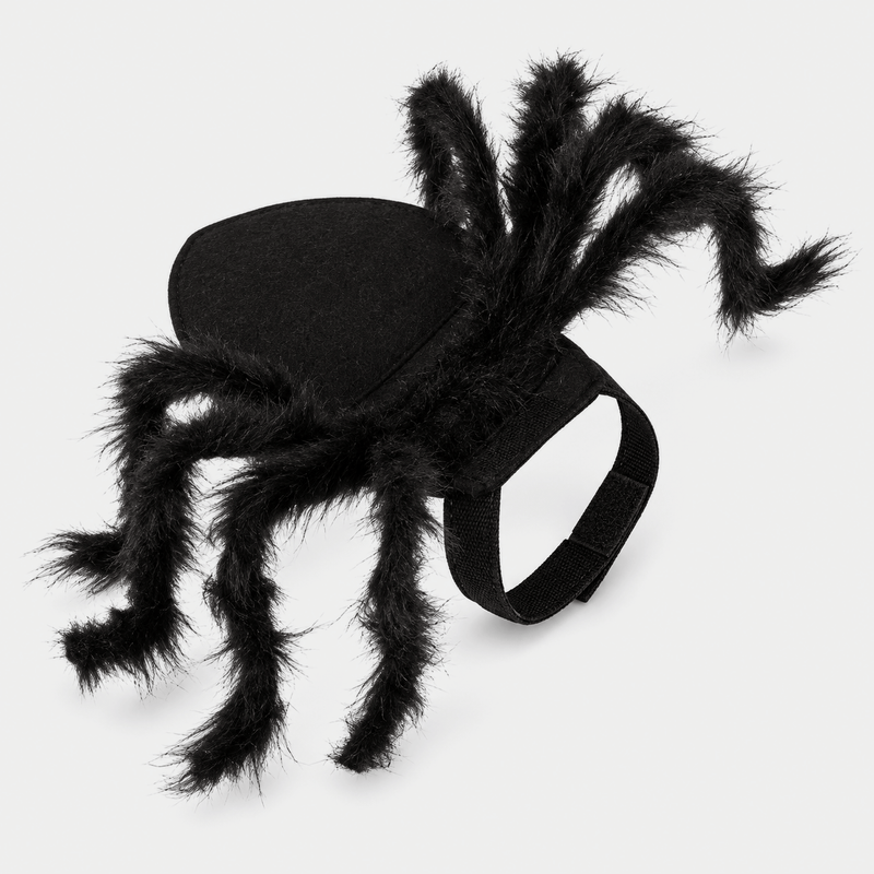 The Viral Halloween Cat Spider Costume